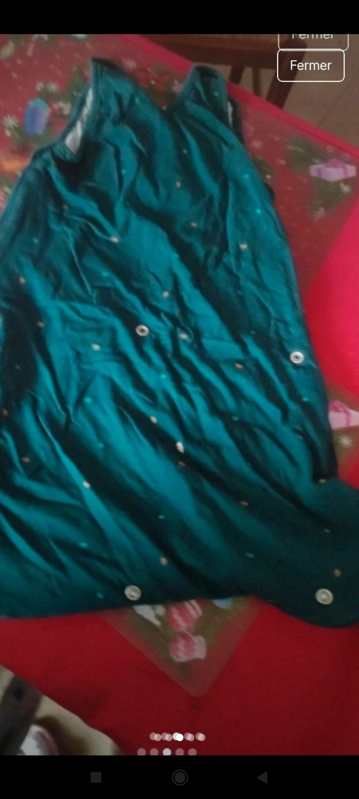 Gigoteuse v12 - photo numéro 3