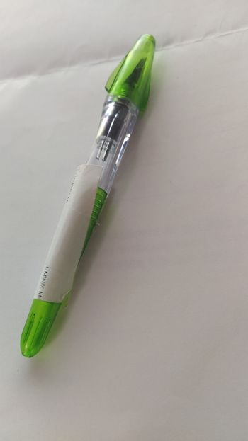 Stylo plume