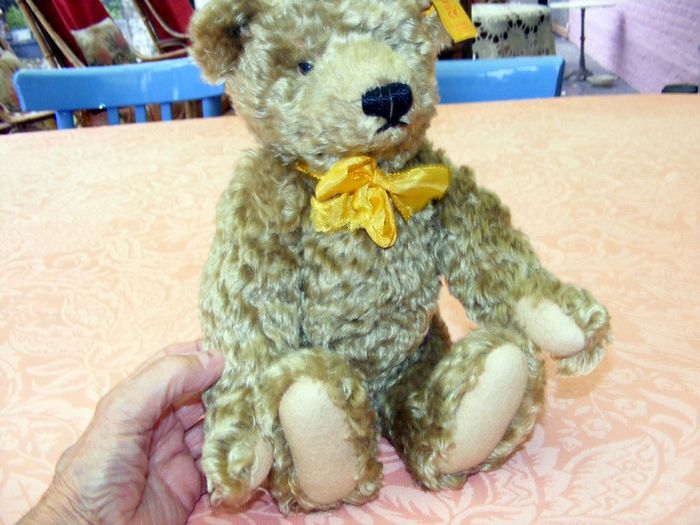 Edward - photo numéro 2