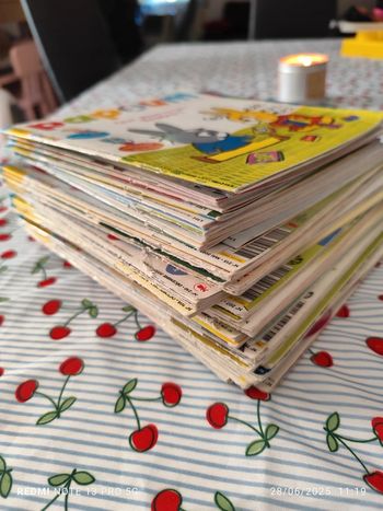 Lot papoum 40 livres dont une année complète