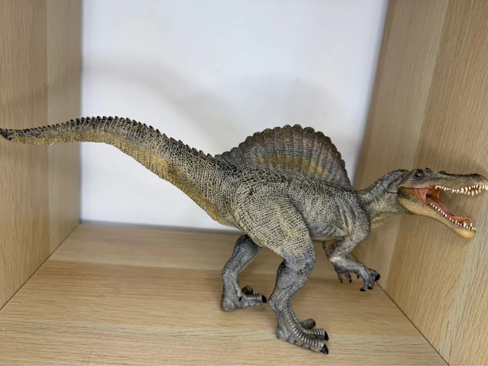 Spinosaurus papo - photo numéro 3