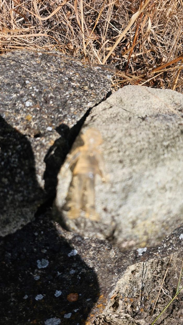 Super petite figurine Pokemon Nintendo Dresseur transparente - photo numéro 3