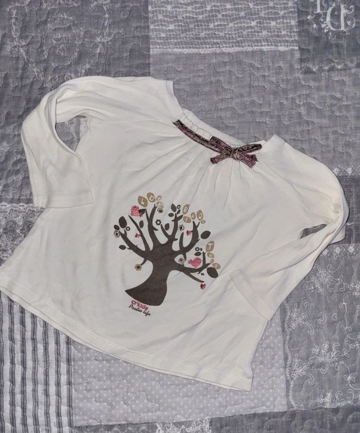 Tee shirt vertbaudet 24 mois
