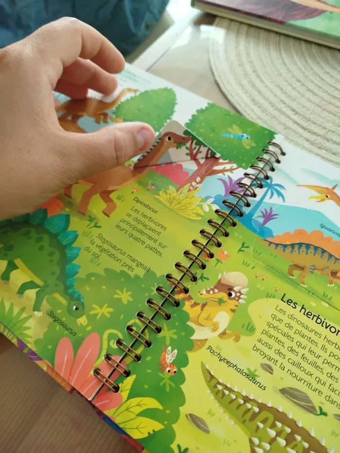 Livre à volets - photo numéro 3