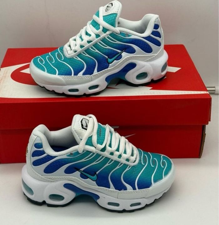 Différent model tn - photo numéro 6