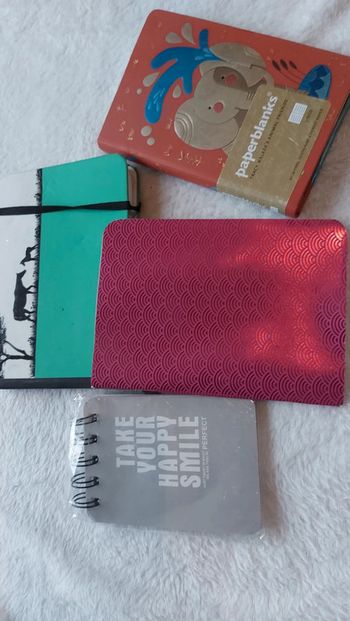 Lot 4 carnets neuf