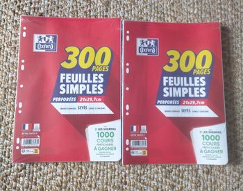 Lot feuilles simples perforées Oxford