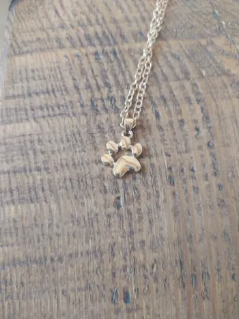 Collier doré patte d'ours 🐻neuf