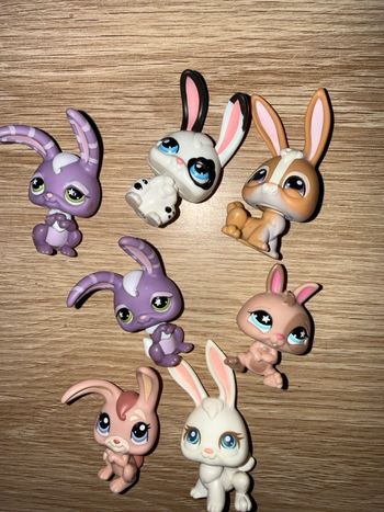 Lot petshop lapins
