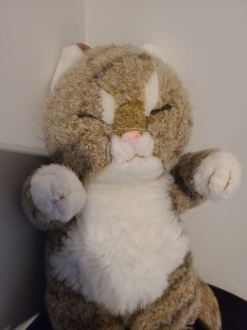 peluche chat