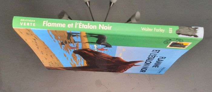 Livre bibliothèque verte - photo numéro 4
