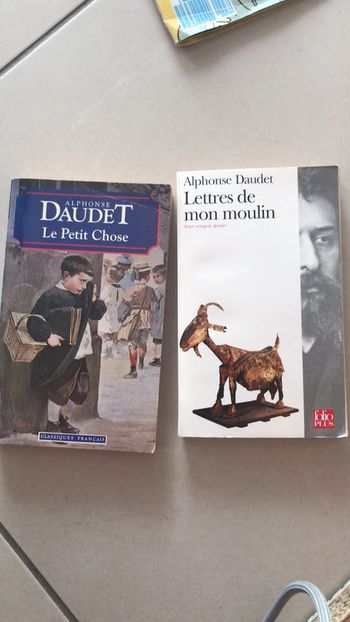Lot 2 livres Alphonse Daudet
