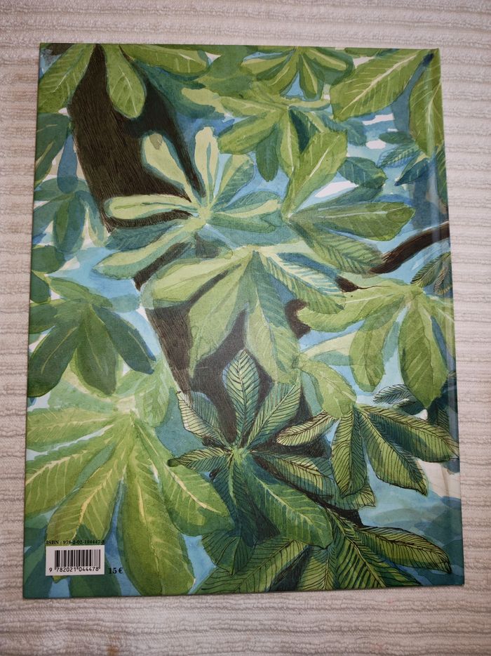 Livre illustré berceuse du merle - photo numéro 2