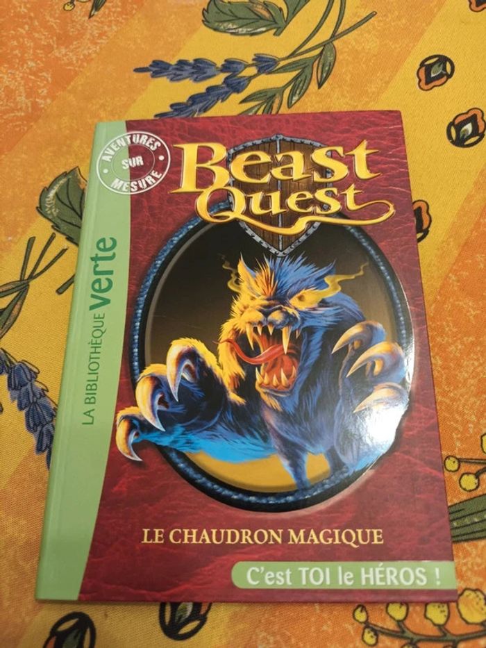 Livre beast ouest le chaudron magique