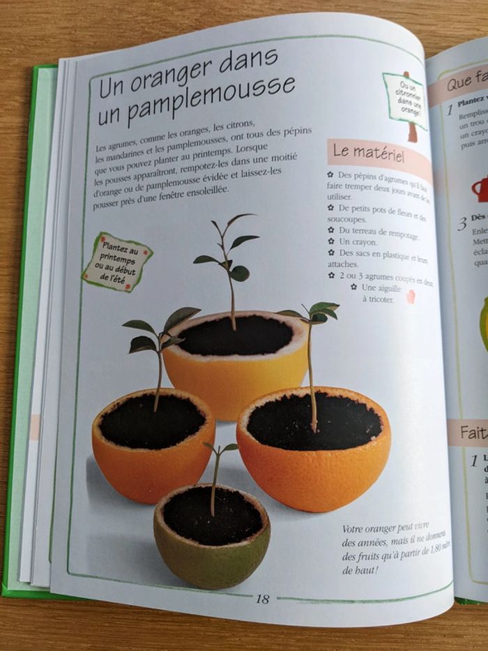 Livre loisirs créatifs enfants doigts verts - photo numéro 5