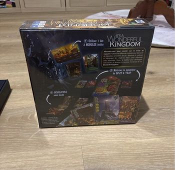 Jeu Wonderful kingdom neuf sous blister idéal cadeau de noel