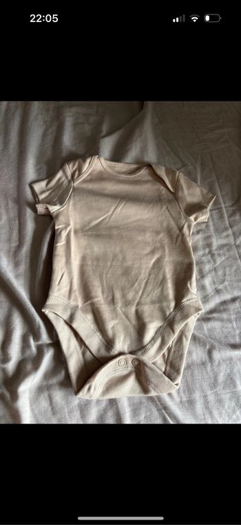 Bodies