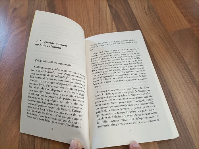 Livre ado - Où est passé Lola Frizmuth? - photo numéro 4