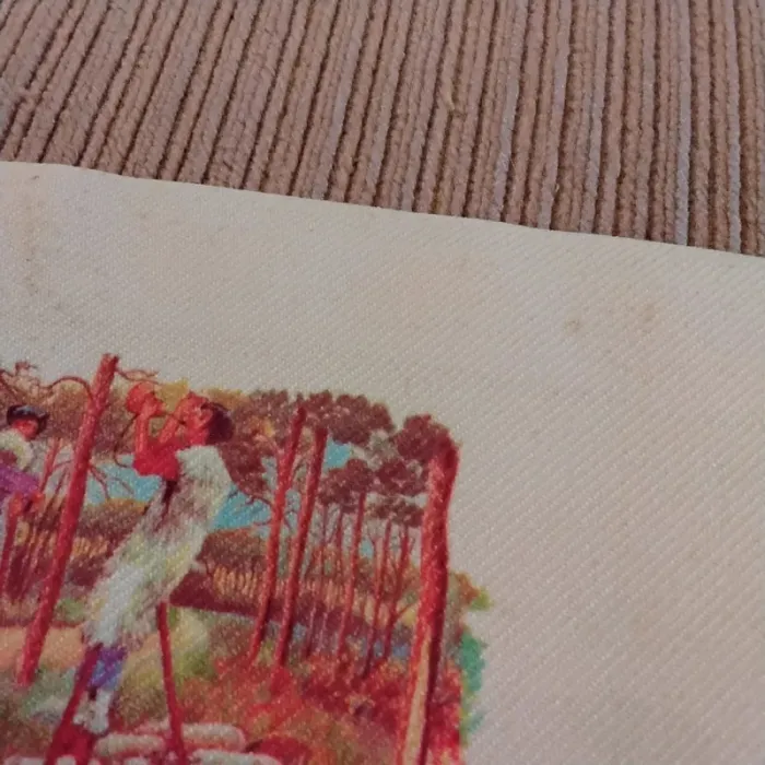 Pochette landes - photo numéro 2