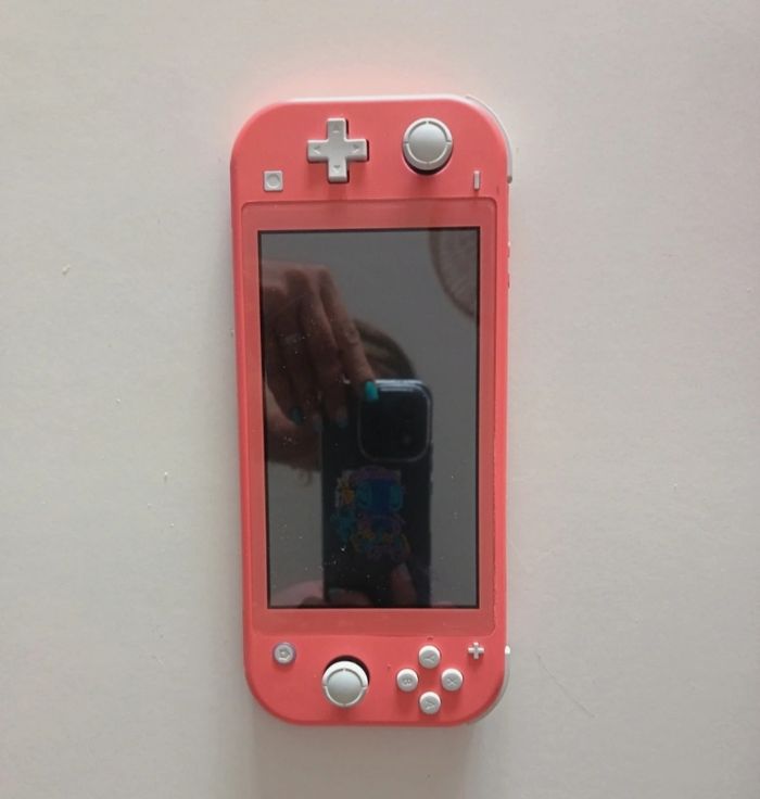 Nintendo switch lite
