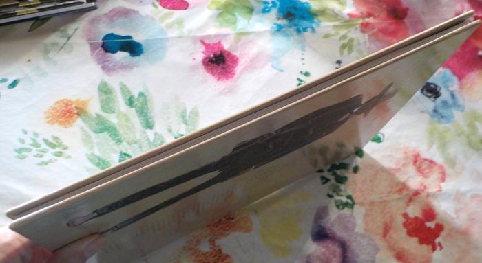 BLUEBERRY FORT NAVAJO BD de Charlier Giraud Ed. Hachette - photo numéro 4