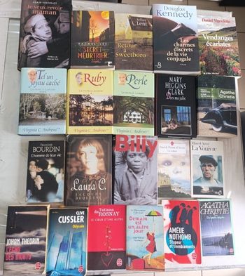 Lot de 22 romans littérature classique en français en bon état 
Il y a de tout