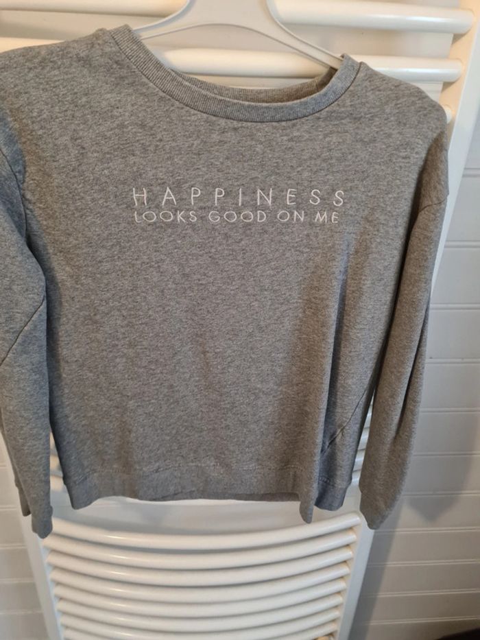 Pull gris