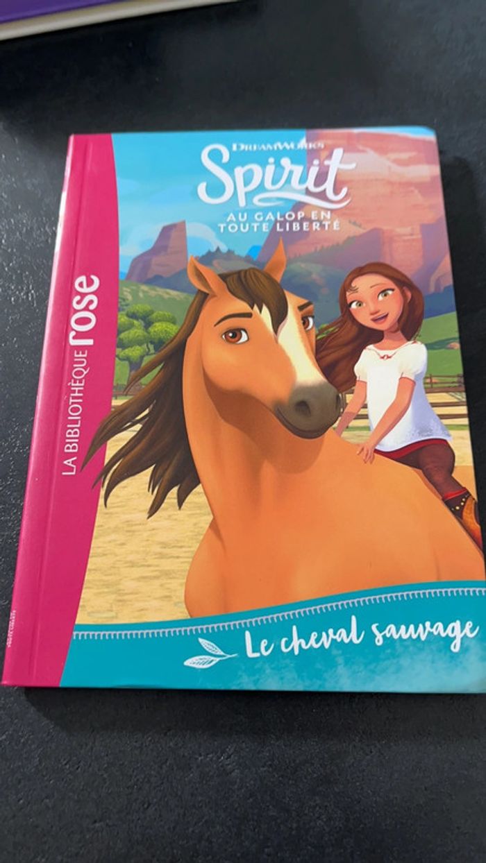 Spirit 1 bibliothèque rose
