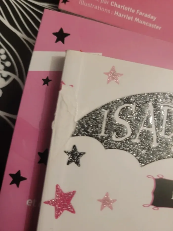 Lot de 4 livres Isadora Moon - photo numéro 3