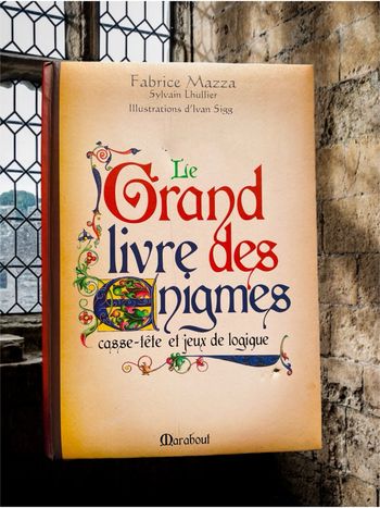 Le grand livre des énigmes - L'intégrale,Multicolore