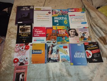 Lot de 17 livres