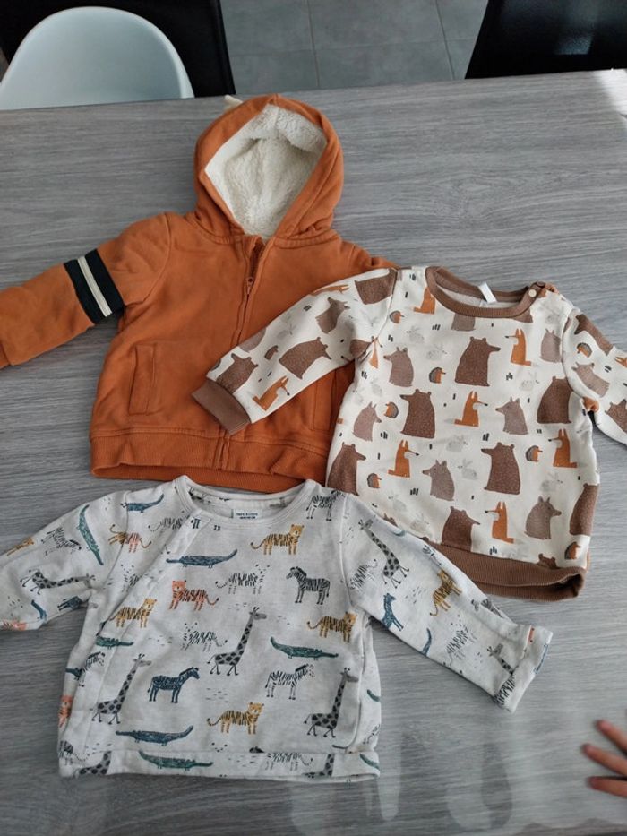 Lot pulls gilets