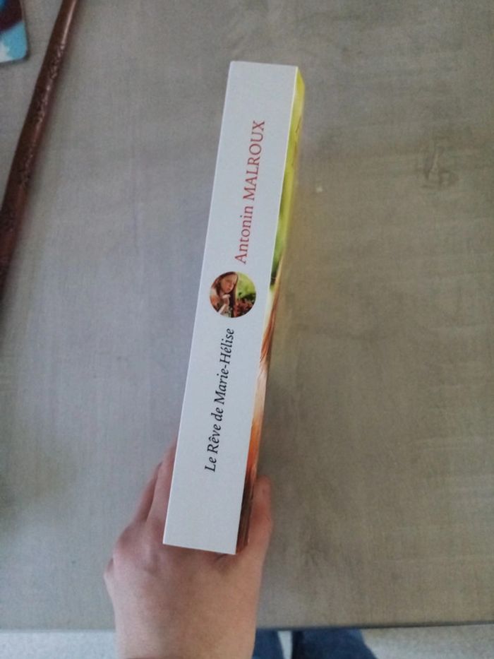 Le rêve de Marie-Hélise - photo numéro 2