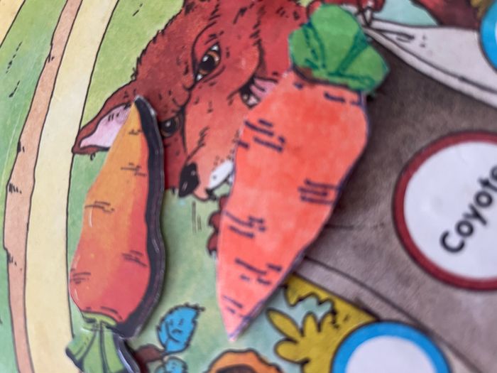 Le lapin malin - photo numéro 7