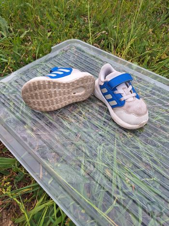 Chaussure adidas 