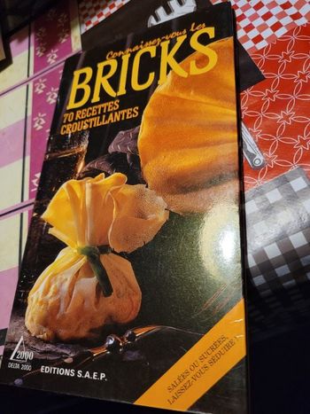 Connaissez vous les bricks