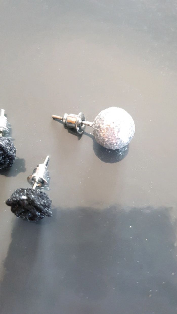Puces d oreilles - photo numéro 3