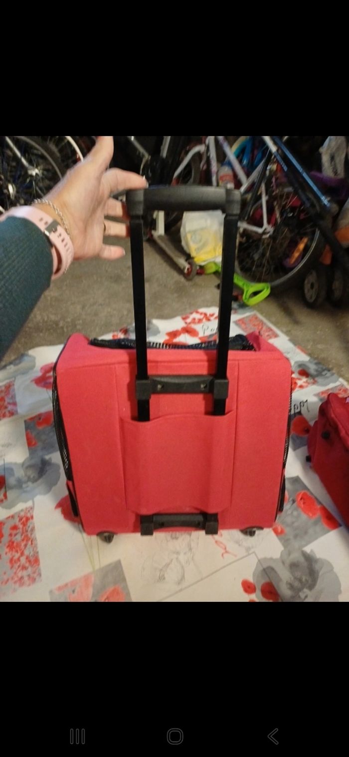Valise d'animaux - photo numéro 3