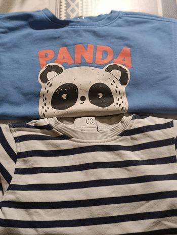 Sweat garçon 36 mois lot de 2 