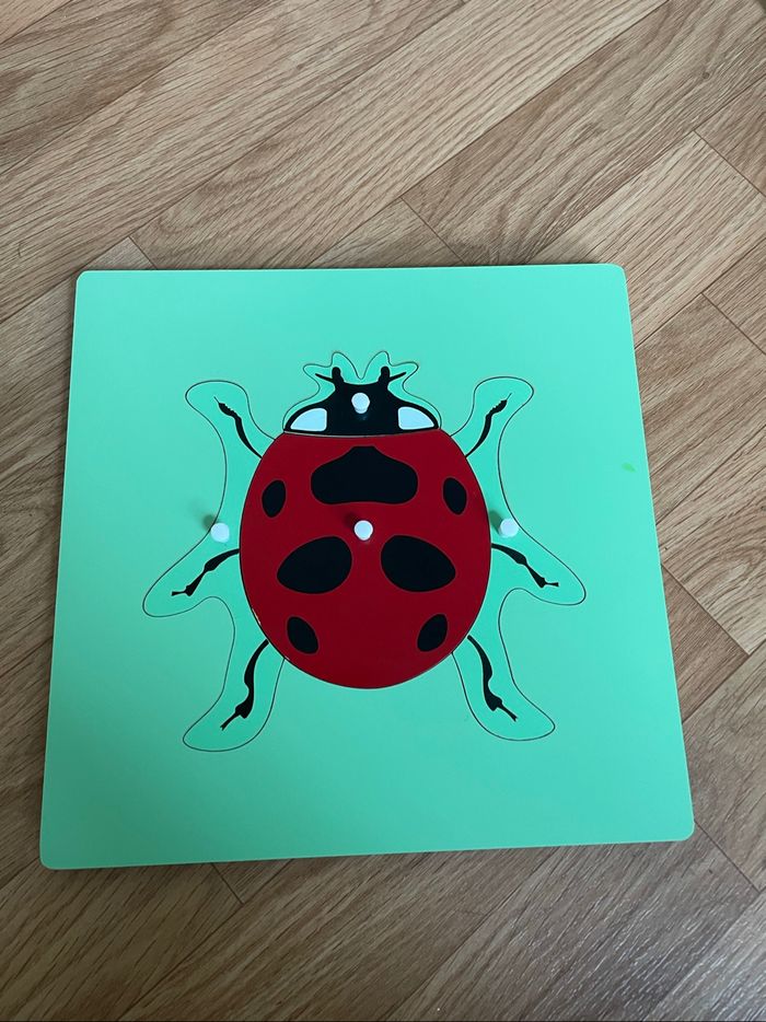 Puzzle Zoologie Montessori : la coccinelle