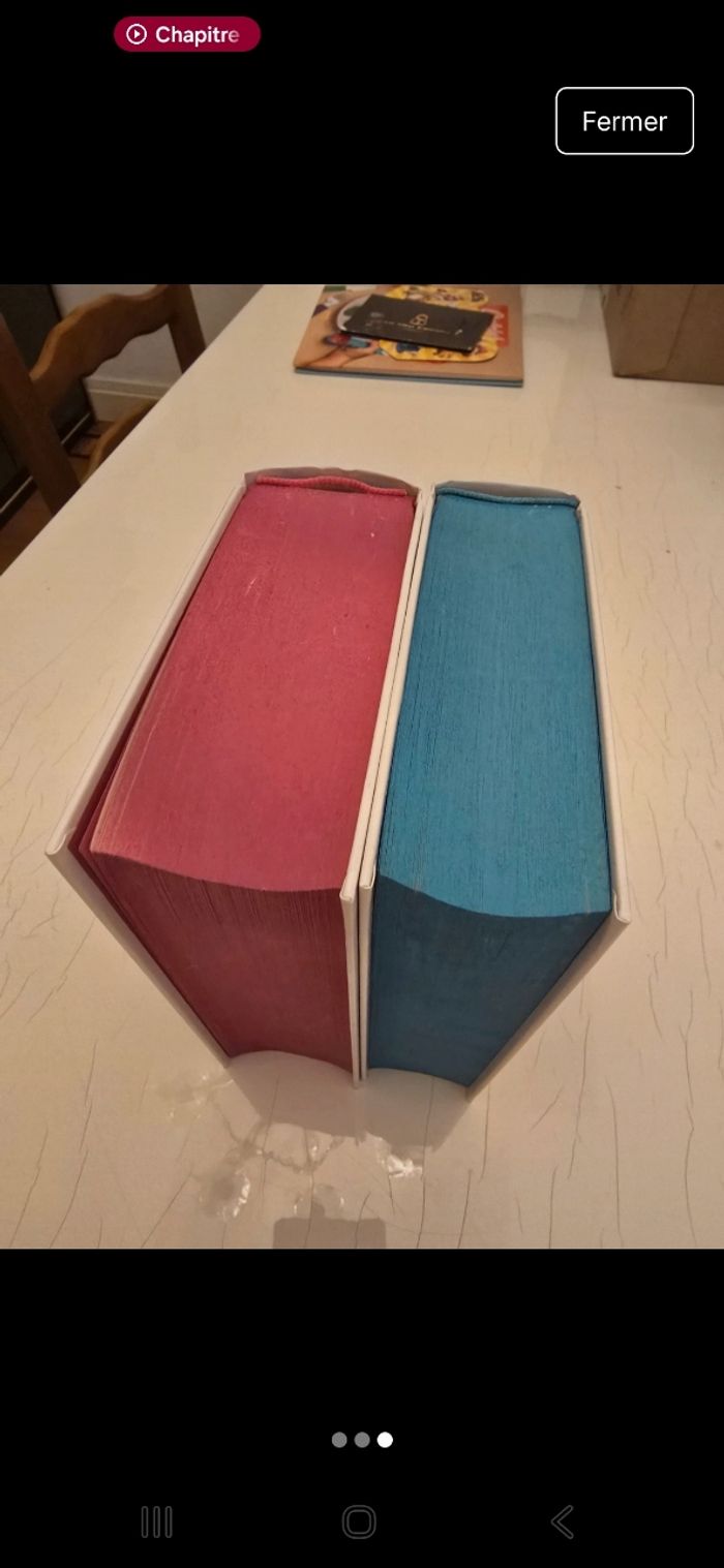 Lot des 2 tomes Collector The Missing Piece - photo numéro 3