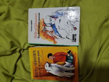 Bibliothèque verte Belle et Sébastien