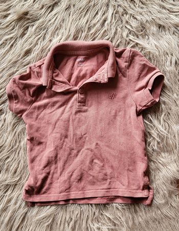 Polo rose