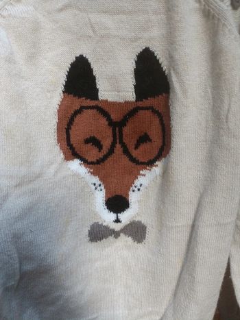 Pull petit renard