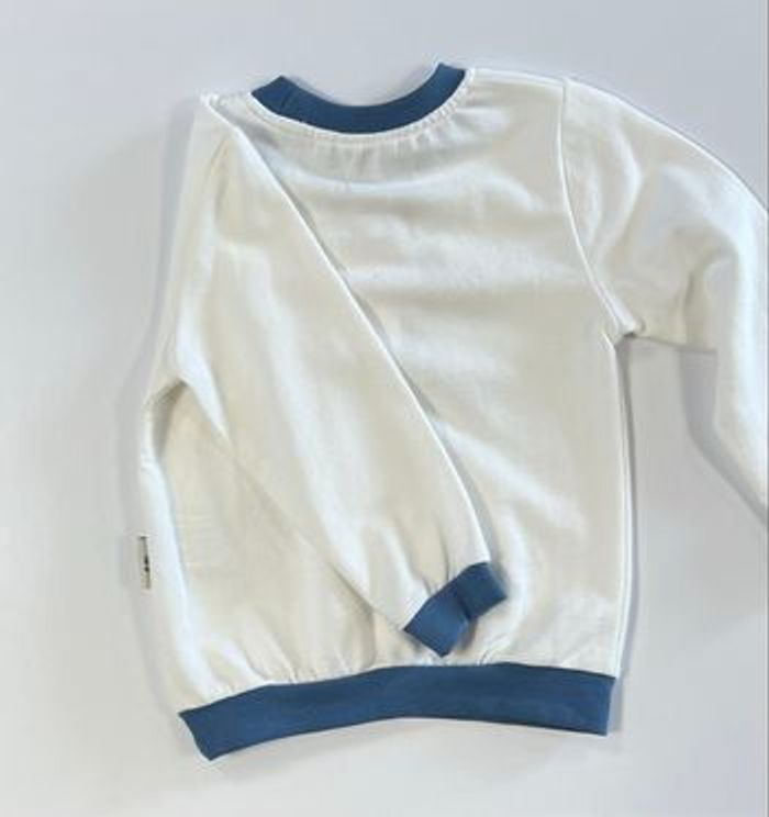 Pull Chicago - photo numéro 6