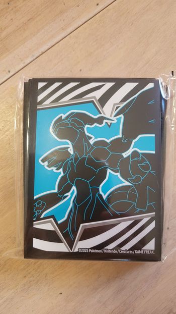 Protèges cartes Pokémon 