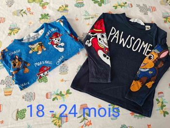 Lot de 2 tee-shirt manches longues h et m tbe 18 24 mois 