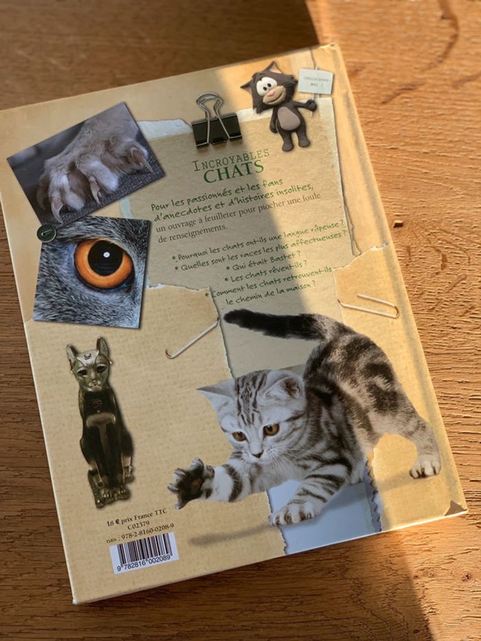 Livre chats - photo numéro 2