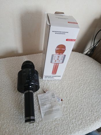 Microphone  karaoké