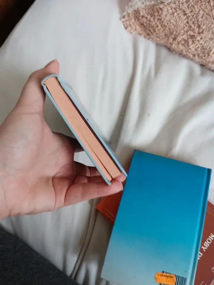 Lot de 3 livres - photo numéro 11
